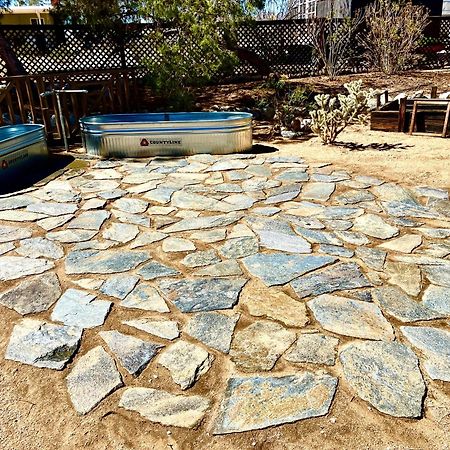 Popular Homestead! Location, Stargaze, Views! Joshua Tree Exteriör bild