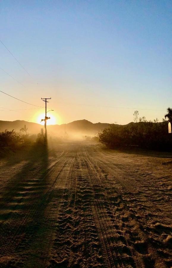 Popular Homestead! Location, Stargaze, Views! Joshua Tree Exteriör bild