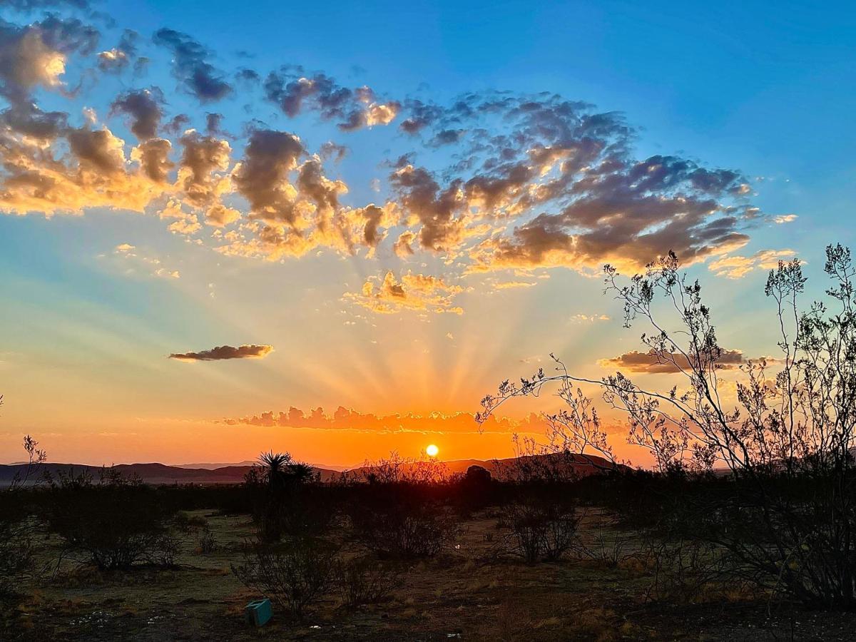 Popular Homestead! Location, Stargaze, Views! Joshua Tree Exteriör bild