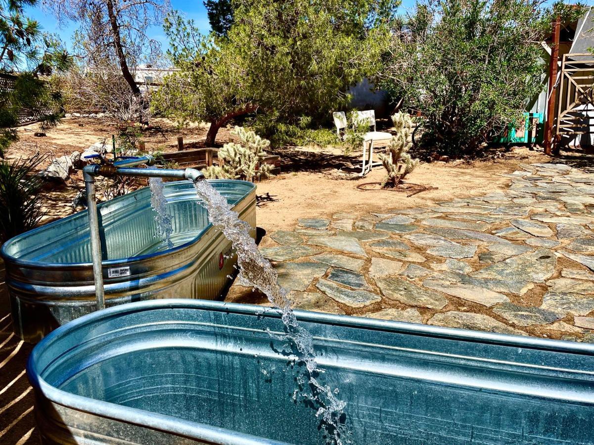 Popular Homestead! Location, Stargaze, Views! Joshua Tree Exteriör bild