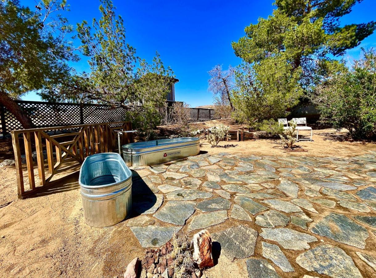 Popular Homestead! Location, Stargaze, Views! Joshua Tree Exteriör bild