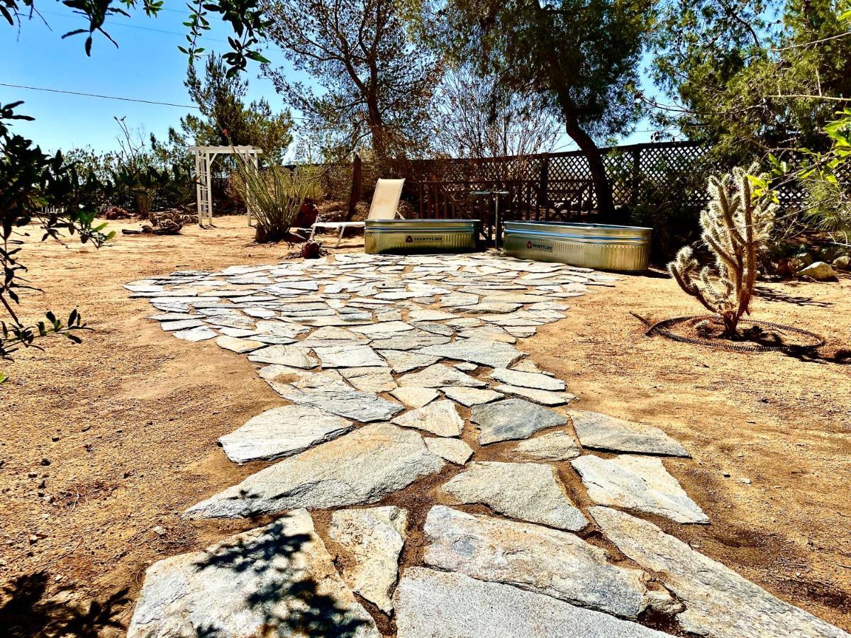 Popular Homestead! Location, Stargaze, Views! Joshua Tree Exteriör bild