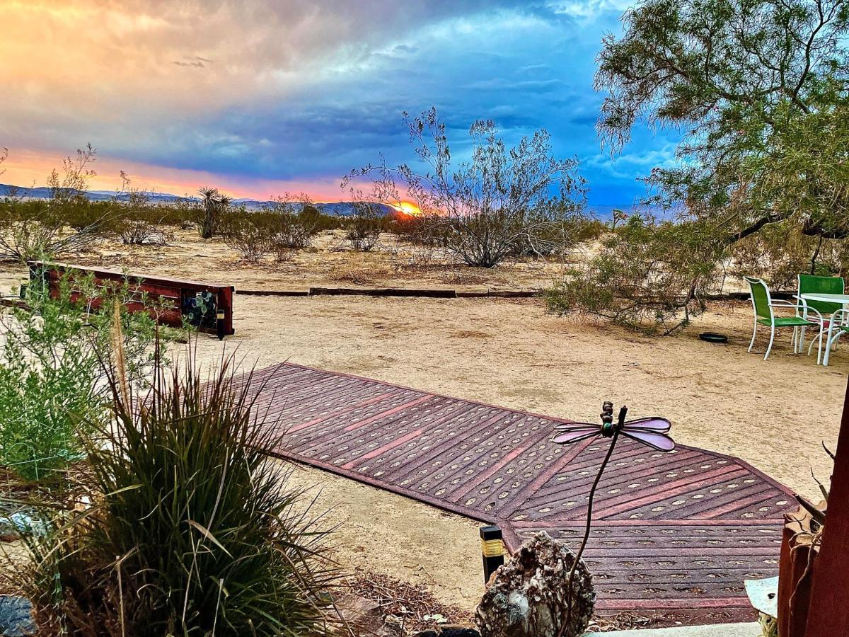 Popular Homestead! Location, Stargaze, Views! Joshua Tree Exteriör bild