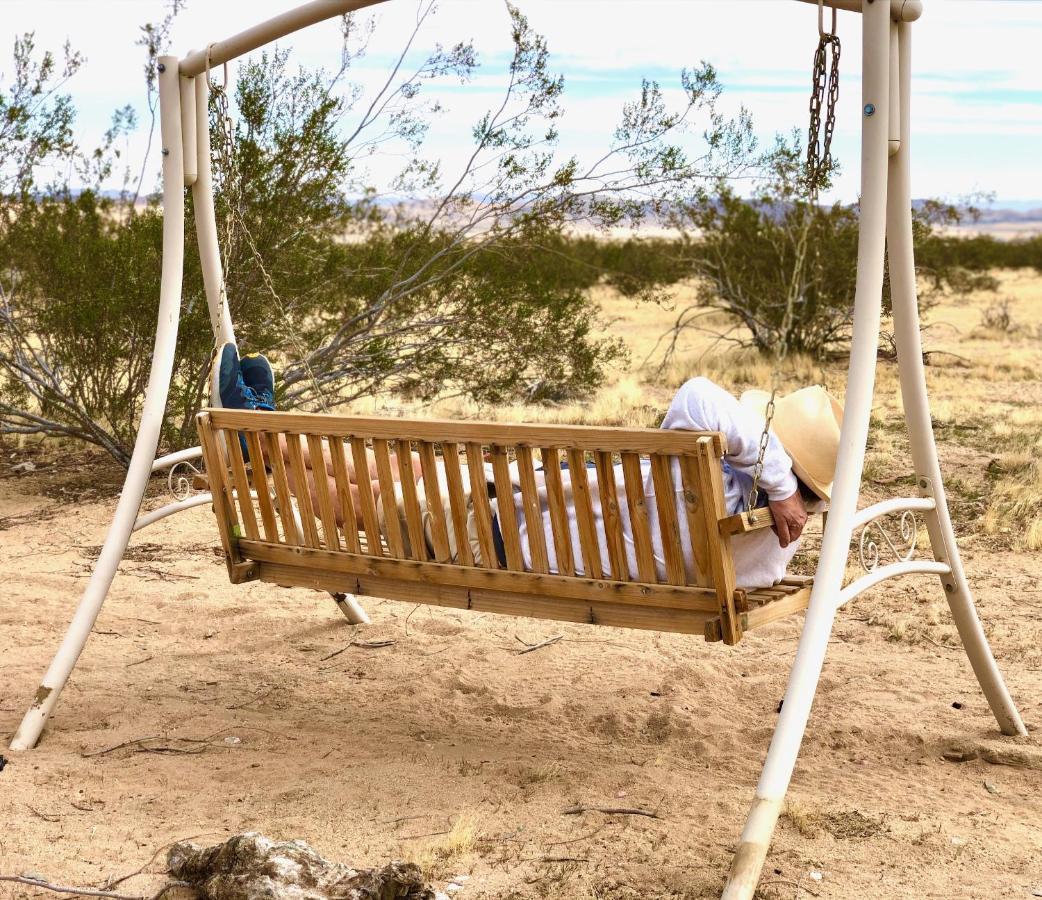 Popular Homestead! Location, Stargaze, Views! Joshua Tree Exteriör bild