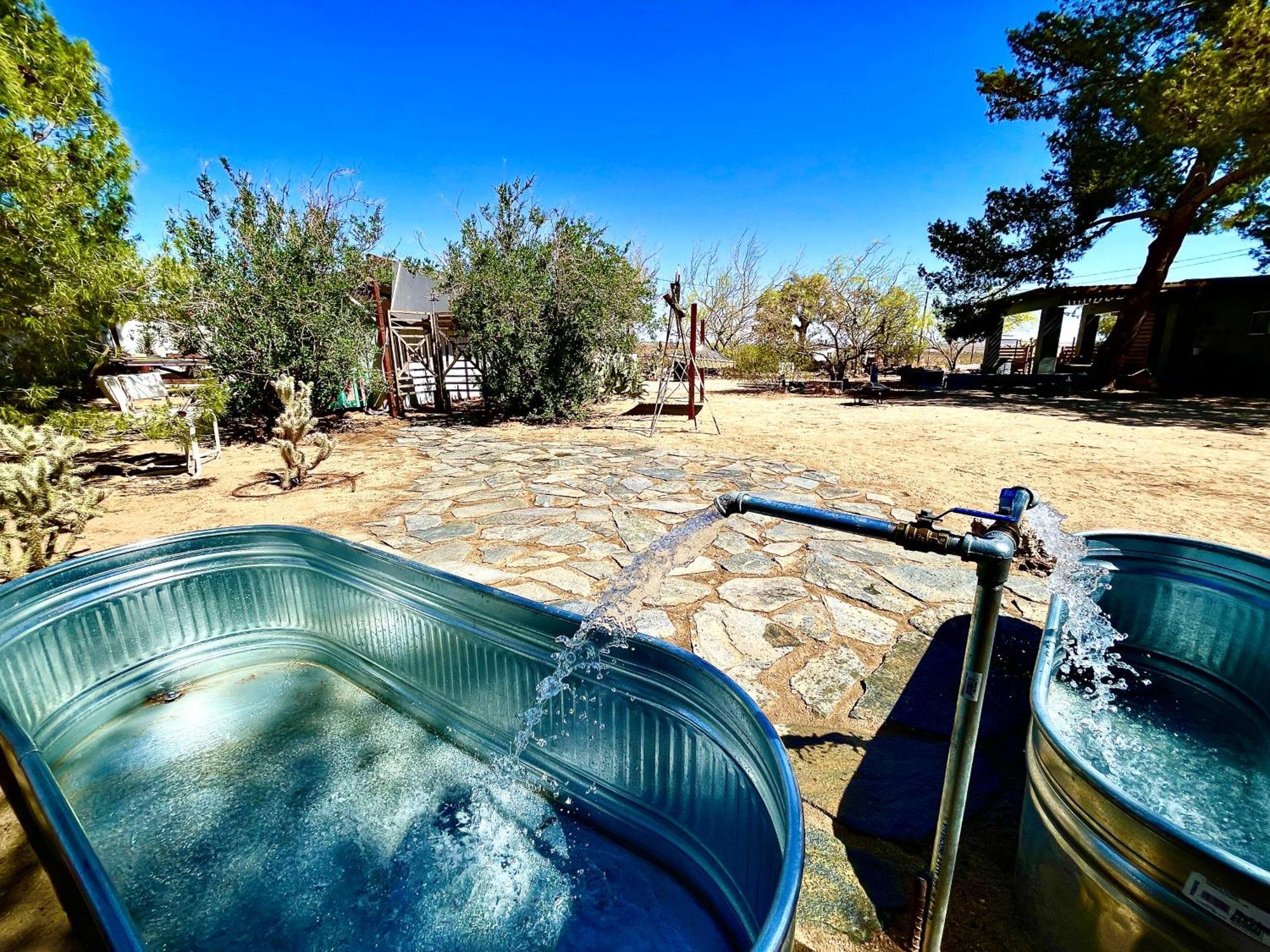 Popular Homestead! Location, Stargaze, Views! Joshua Tree Exteriör bild